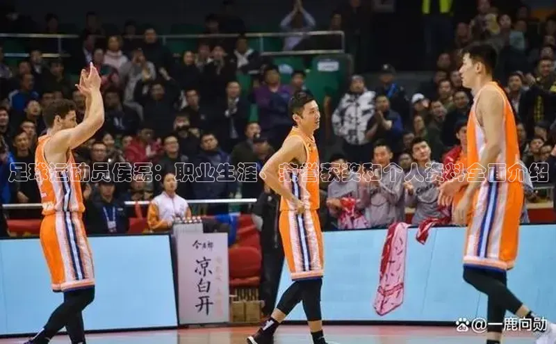 耀世娱乐注册登录阿里尔公司足球运动员侯磊：职业生涯、荣誉获奖和个人资料全面介绍