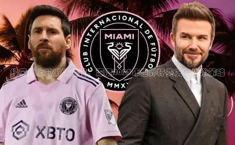 绿茵场上的激情碰撞：深度2023年世界杯赛况与战术策略