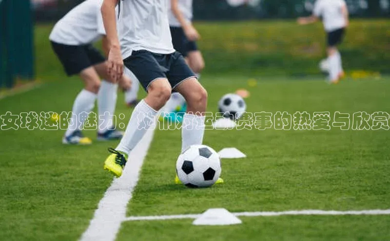女球迷的魅力：她们对运动赛事的热爱与欣赏