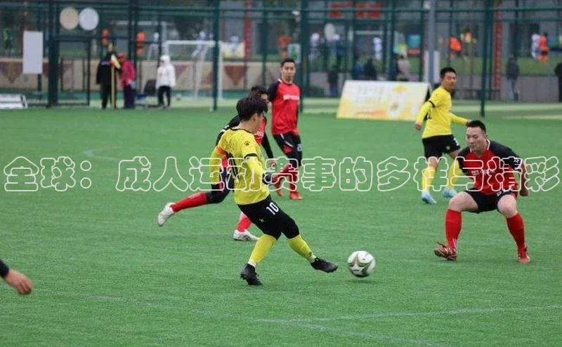 全球：成人运动赛事的多样与精彩