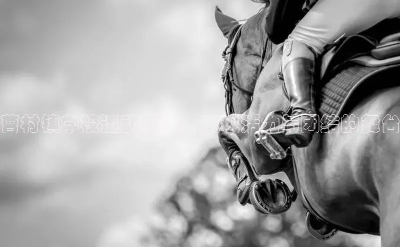 曹村镇学校运动赛事：展现活力与团结的舞台