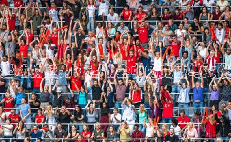 运动的魅力：运动会中的竞技与文化