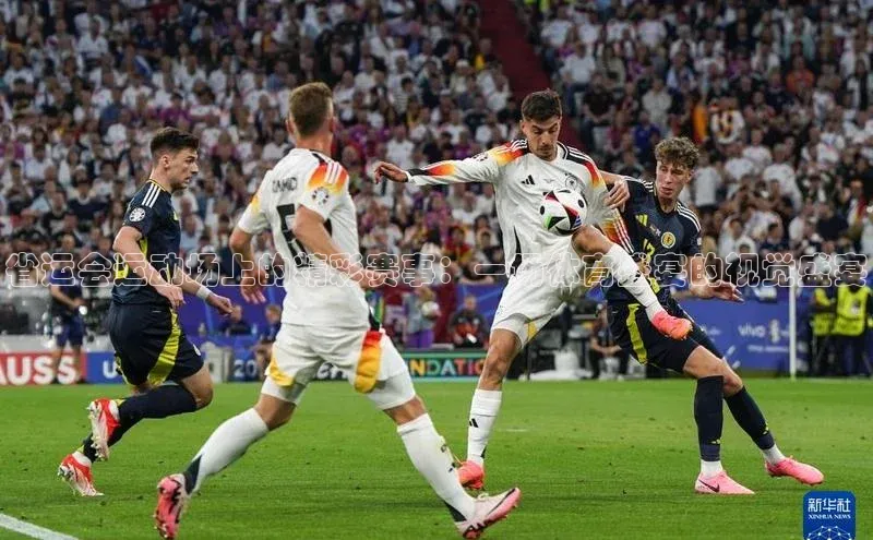 省运会运动场上的精彩赛事：一场体育盛宴的视觉盛宴