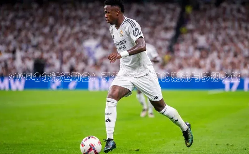 2025哈尔滨运动会：引领未来运动的潮流与梦想之旅