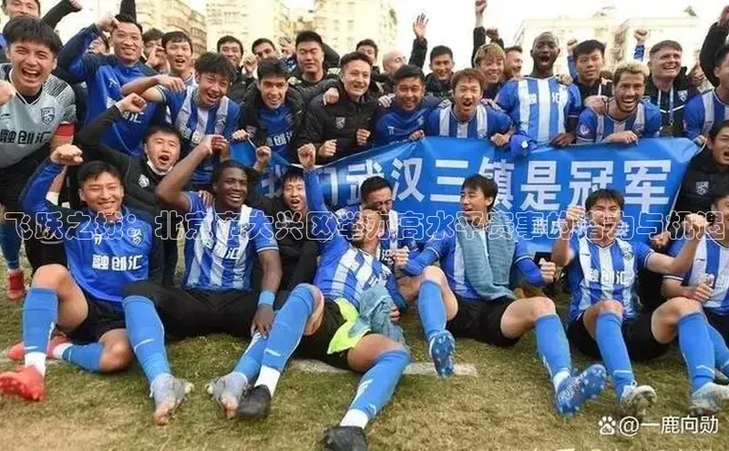 飞跃之城：北京市大兴区举办高水平赛事的潜力与机遇