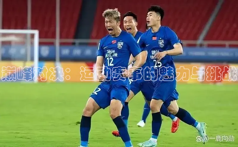 巅峰对决：运动赛事的魅力与挑战