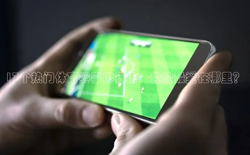 17个热门体育赛事排行榜：你的最爱在哪里？