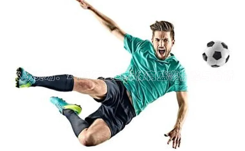 飞跃赛场：2023年度国际体育盛事概览与分析