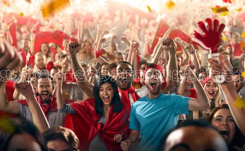 魅力茂港：茂名市多元运动赛事的魅力与活力