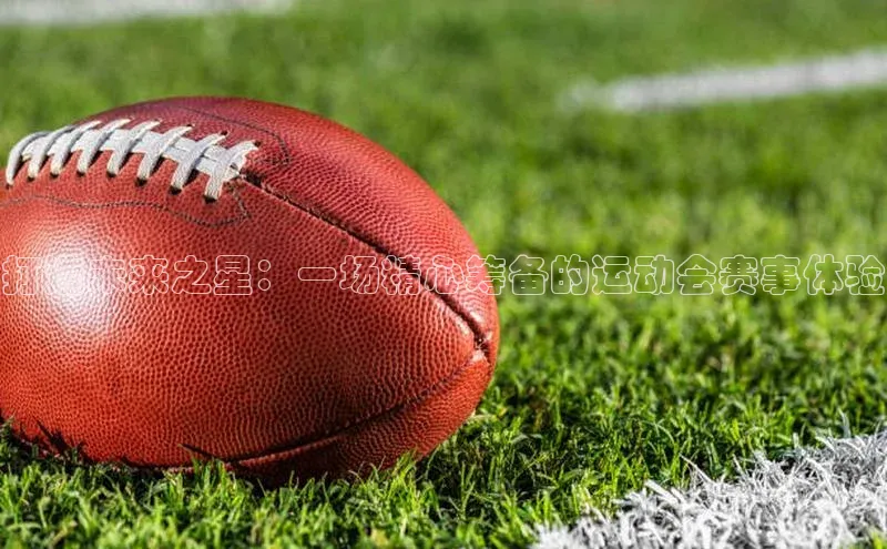 打造未来之星：一场精心筹备的运动会赛事体验