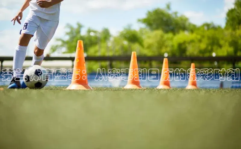 芬兰体育盛事：从赛事到日历的精彩时刻